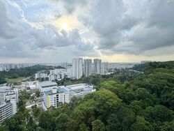 Regent Heights (D23), Condominium #585626891